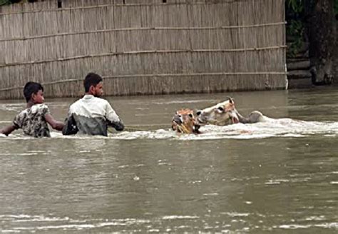 Floods Wreaks Havoc In Assam And Bihar Relief And Rescue Operations