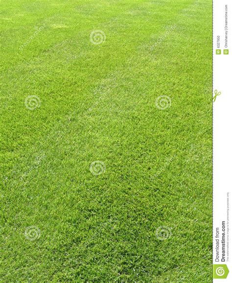 Best 47 Fresh Cut Grass Wallpaper On Hipwallpaper Clean Fresh