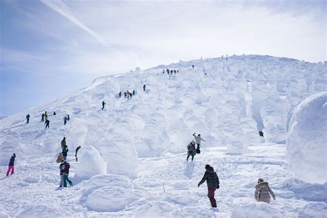 Best Time To See Zao Snow Monsters In Japan 2024 When To See Roveme