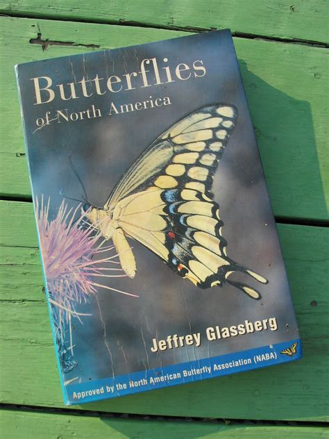 Butterfly Jungle Butterfly Books