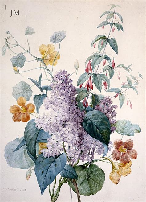 Pierre Joseph Redouté 1759 1840 Lilacs Nasturtium And Fus John