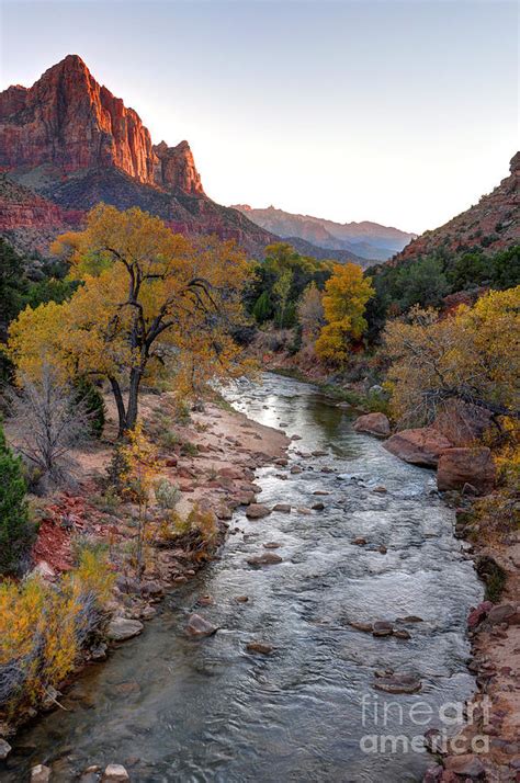 Watchman Sunset In Fall Zion National Park Photograph By Gary Whitton