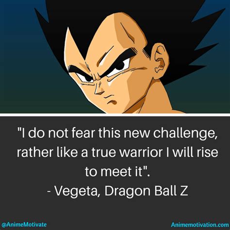 Vegetas Quotes In Dragon Ball Z All Fans Will Love Dragon Ball