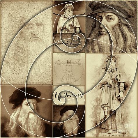 Leonardo Da Vinci Sketches Golden Ratio Poster Mixed Media By Nenad