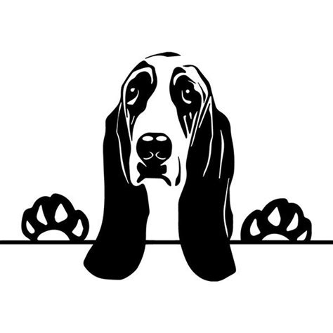 Basset Hound 8 Peeking Paws Dog Breed Pedigree Canine K 9 Etsy