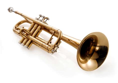 Trumpet definition and meaning | Collins English Dictionary