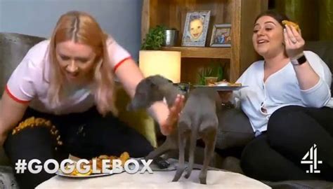 Gogglebox Star Forced To Defend Herself After Being Accused Of Dog