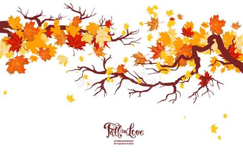Autumn Nature Branch Stock Vector Illustration Of Beauty 124423823