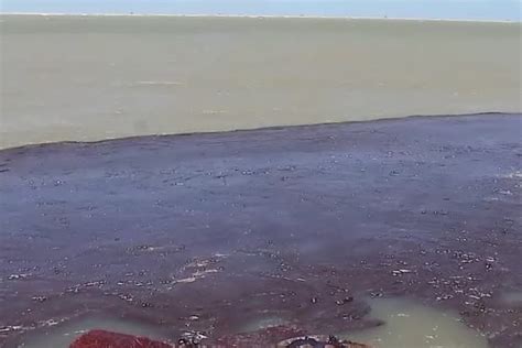 Mysterious Oil Spill Contaminates Beaches Across Swathe Of Brazilian