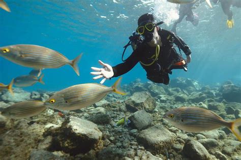 compre os com segurança Cesto de pesca para guardar manter peixe vivo