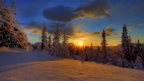 Winter Evening Polar Night Finland Wallpapers Hd