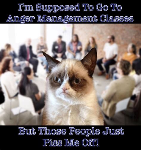 Grumpy Cat Doesnt Want To Go To Anger Management Classes Grumpy Cat Humor Grumpy Cat Cat Memes