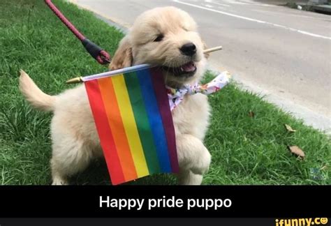 Pride Flags With Animals Entries Variety