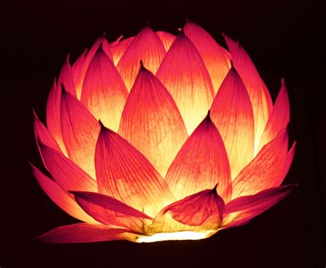 Either way, the first thing to do is. Lotus lantern | Lantern craft, Paper lantern centerpieces ...