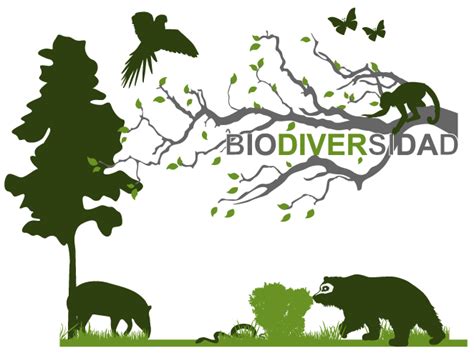 Día Internacional De La Biodiversidad O Diversidad Biológica Imágenes