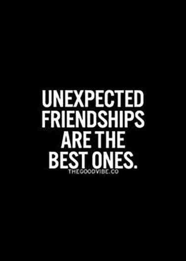 101 Friendship Quotes To Share With Your Best Friend Human Diary And