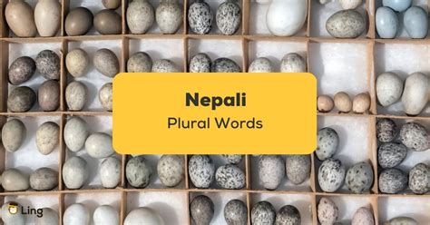 5 Plural Nepali Words Best Ways To Know Them Ling App