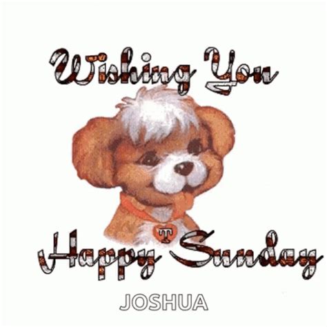 Animated Puppy Wishing You Happy Sunday 