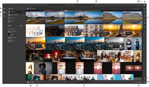 Learn How To Organize Your Photos In Lightroom