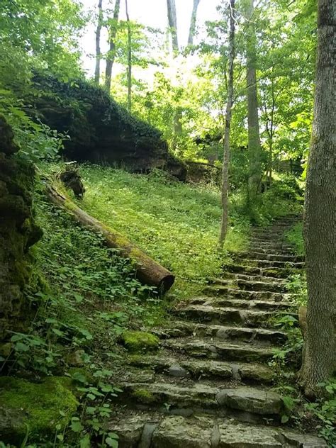 Glen Helen Nature Preserve Yellow Springs Ohio