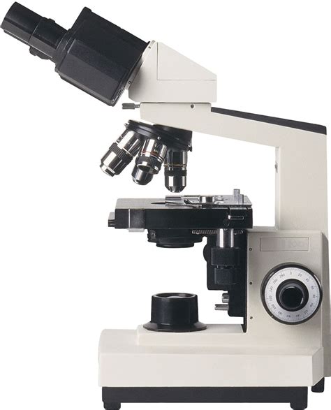 Microscope Types Parts History Diagram And Facts Britannica