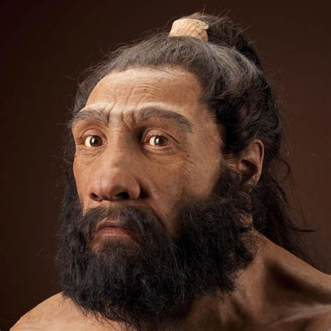 Humans And Neanderthals Had Sex But Was It For Love Vox