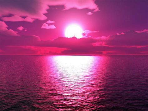 Hot Pink Picture Wallpaper Pink Sunset Pink Walls Pretty In Pink