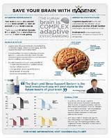 Nutrition Brain Function And Cognitive Performance