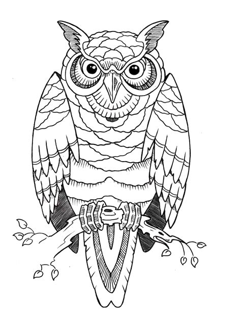 Free Cute Owl Coloring Pages To Print Characters And Animals Coloring