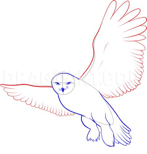 How To Draw A Snowy Owl Coloring Page Trace Drawing