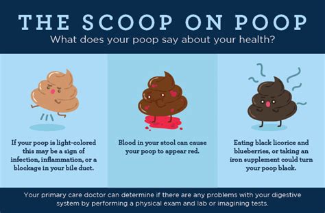 What Does Tan Poop Color Mean The Meaning Of Color