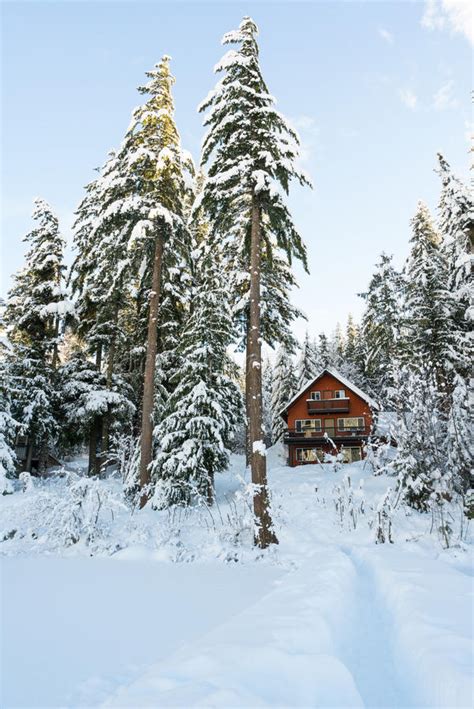 Cabin In Woods Winter With Snow Stock Image Image Of Cold Sits 64373469