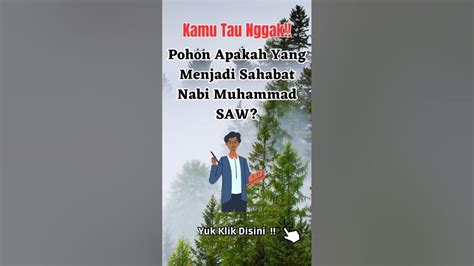 Pohon Sahabat Nabi Muhammad Saw Shorts Kisahislami Kisahnabi Dakwah