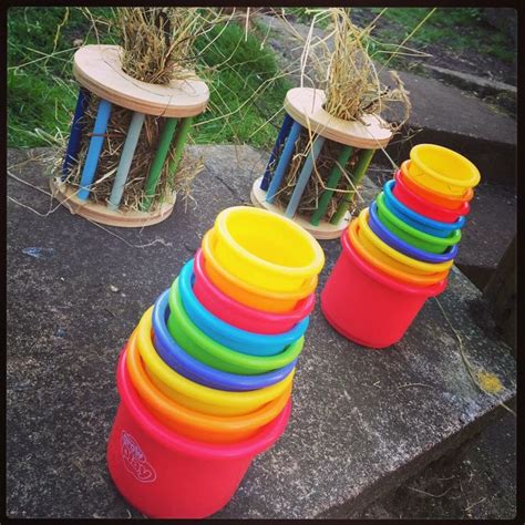 These are family of rabbits are both fun and educational and were made to develop kid's logical thinking and encourages creative play. 99 best images about Rabbit toys & boredom busters on ...