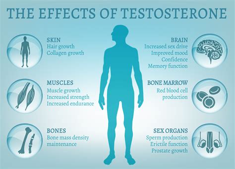 testosterone action and testosterone boosters testosterone as doping