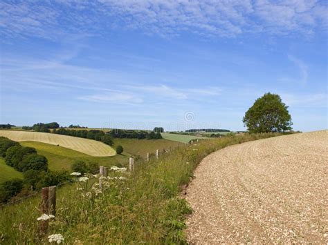 Scenic Patchwork Farmland In Summertime Stock Image Image Of Farmland