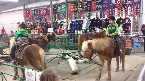 Pony Rides At Mile Fair YouTube