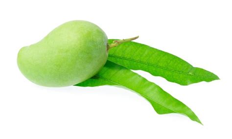 Premium Photo Fresh Green Mango Fruit Isolated On White Background