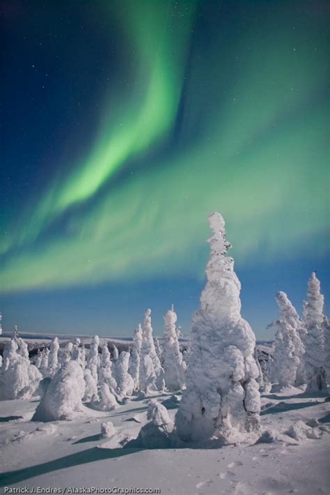 Aurora Borealis And Snow Northern Lights Pinterest