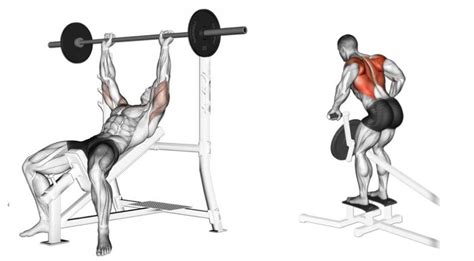 What Is A Good Chest And Back Workout The 4 Best Supersets