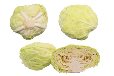 180 Wombok Cabbage Stock Photos Pictures And Royalty Free Images Istock