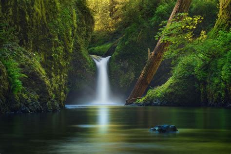 Water Green Nature Waterfall Wallpapers Hd Desktop