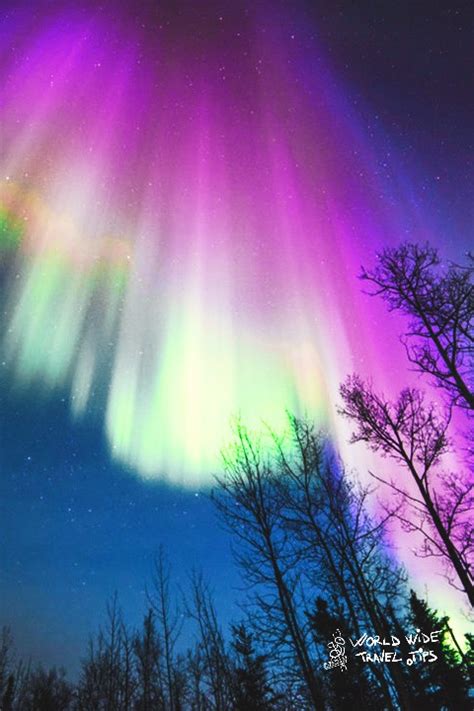 What Is Aurora Borealis And What Are Aurora Borealis Colors