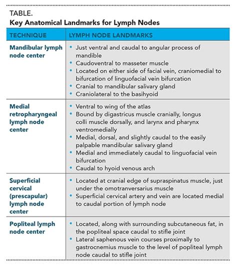 Normal Lymph Node Size Chart