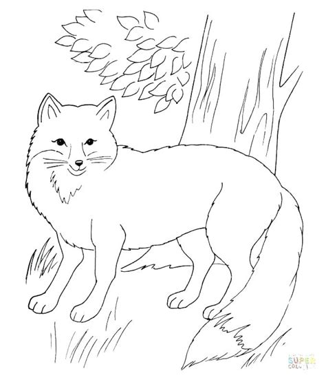 Arctic Fox Coloring Page At Free Printable Colorings