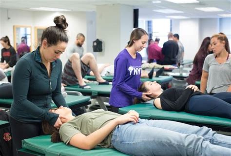 33 Physical Therapy Programs In Florida