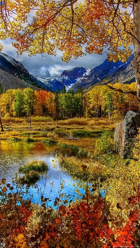 Perfect Autumn Scenery Wallpapers Full Hd 2560x1600 Free Desktop