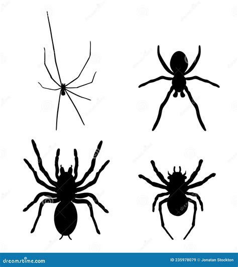Set Collection Of Spider Vector Silhouette Illustration Isolated On