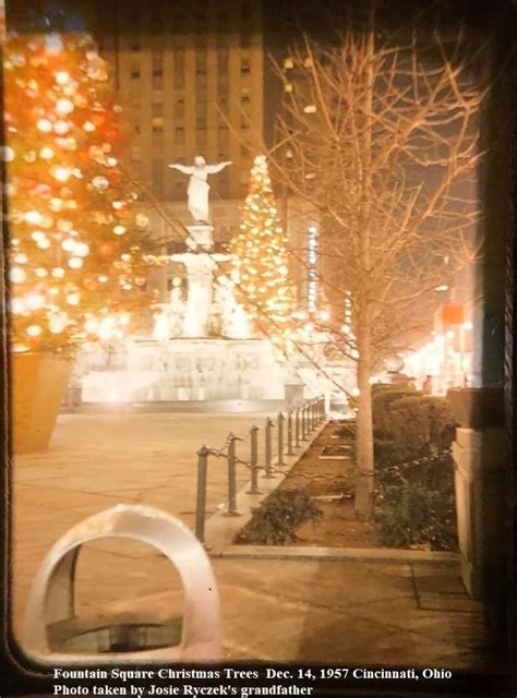 Fountain Square Christmas Trees In Cincinnati 1957 Fountain Square