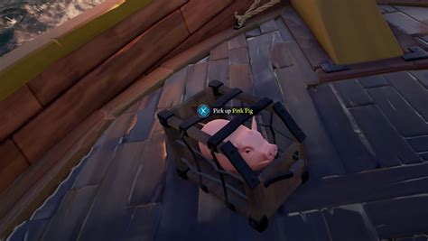 How To Catch Pigs And Chickens In Sea Of Thieves Shacknews